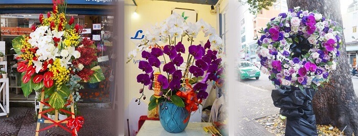 Rực rỡ màu sắc tại shop hoa TheOrchid Flower