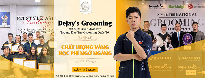 Địa chỉ học cắt tỉa lông chó ở TPHCM nổi tiếng - Dejay’s Grooming